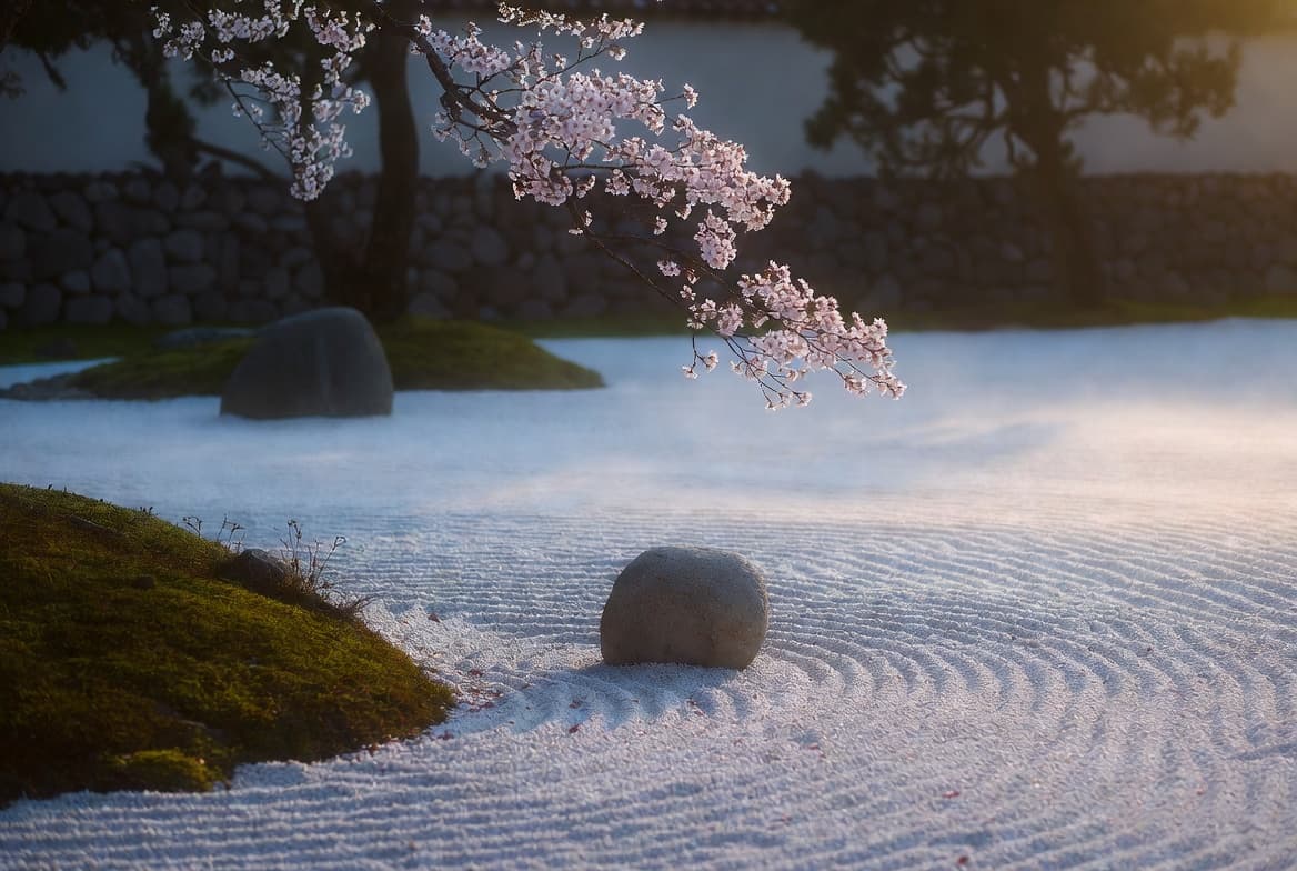 Daily Calm AI